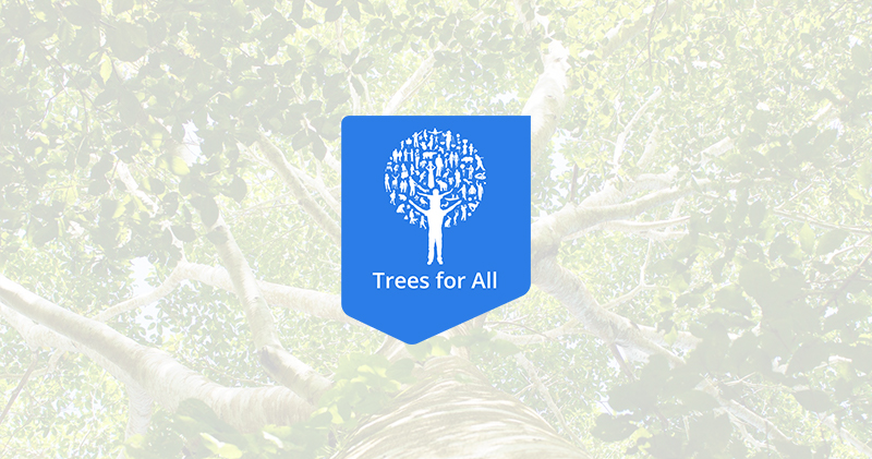 trees 4 all Trees for all
